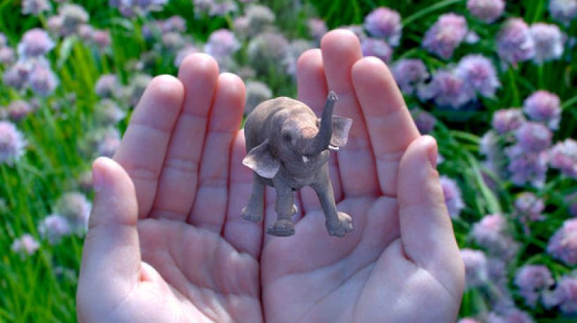 Magic Leap, Google invests in firmly augmented reality