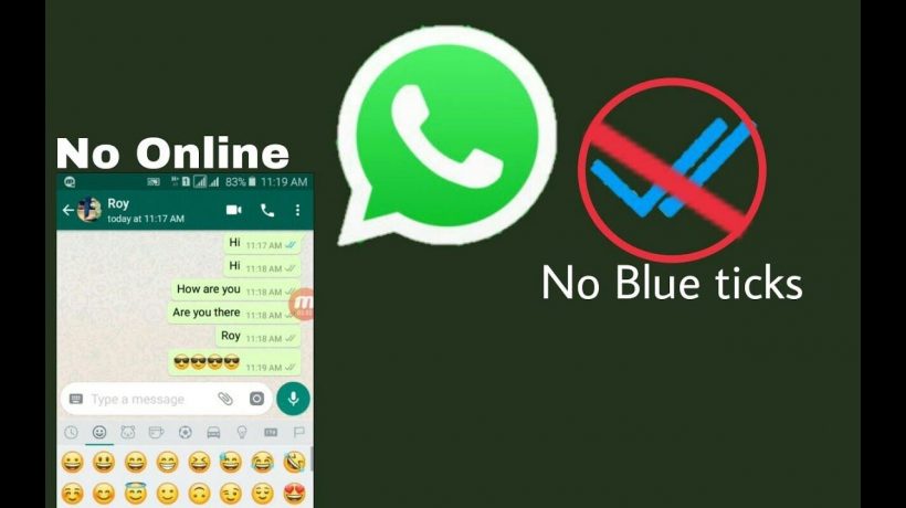 How to read whatsapp messages without blue tick