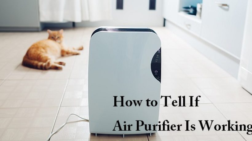 How to Tell If Your Air Purifier Is Working