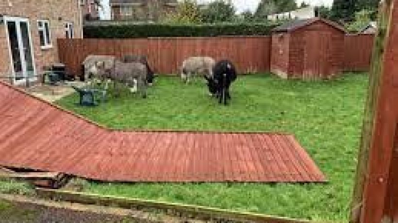 Preparing for the Winter Weather