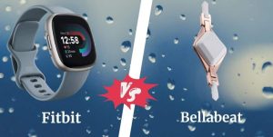 Bellabeat vs Fitbit: Key Differences